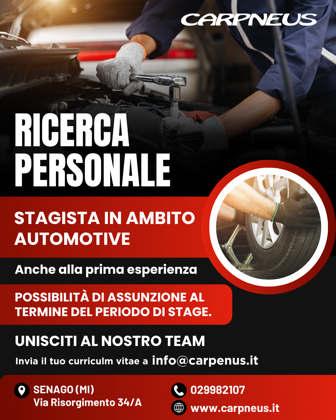 Carpneus_Post Ricerca personale 1080x1350px